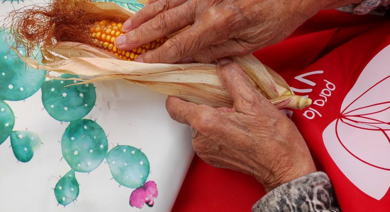 PLANTAS PARA LA VIDA