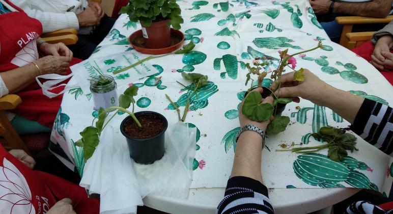 PLANTAS PARA LA VIDA